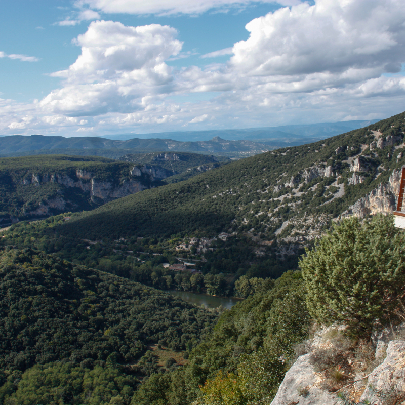 Les Gorges de l'Ardèche avec un guide nature - Terre et Ciel Randonnées