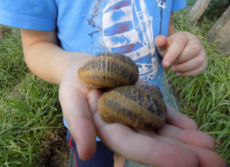 Le Domaine de l'Escargot