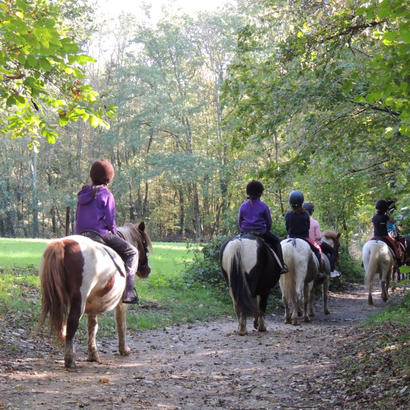 Balade à poney