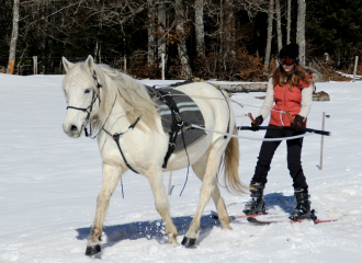 Ski joëring avec Parole de cheval