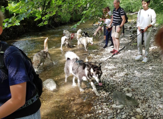 canirando en bord de rivière