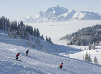 Domaine_Skiable_229850_©N.Joly_OT_Les_Gets