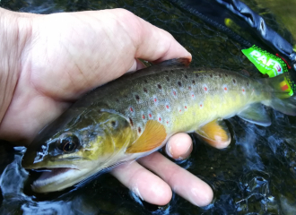 Pêche Mickael Miclet