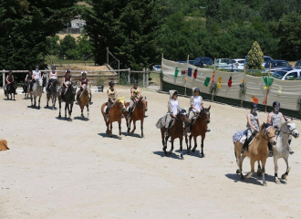 Riding horses at the Haras de Bressac