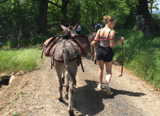 Randonnée avec les ânes