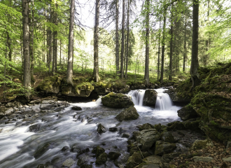 Cascade de la rivière d'Ardent