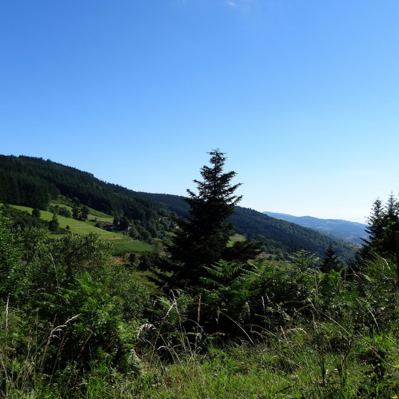 Circuit moto vers la forêt de Taillard