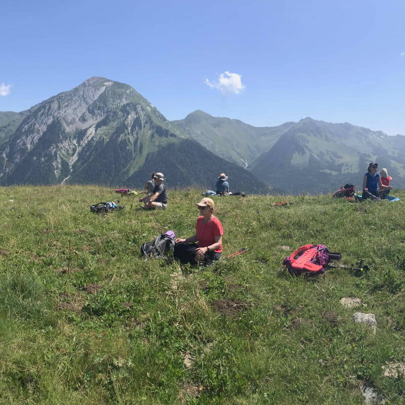 Rando - Yoga - Plantes sauvages