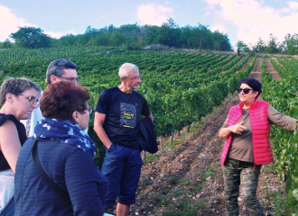 Domaine Annie Sauvat vigneronne