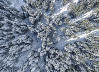 Forêt vue du ciel