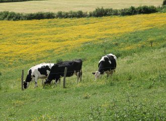 Ferme de la pereire