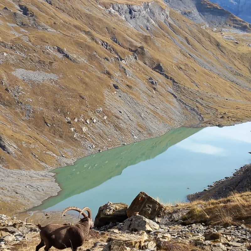 Randonnée naturaliste