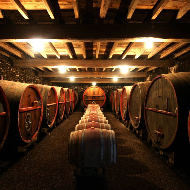 Vsites et dégustations au Domaine de la Bouronière à FLEURIE