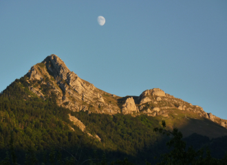 Rognon au clair de lune