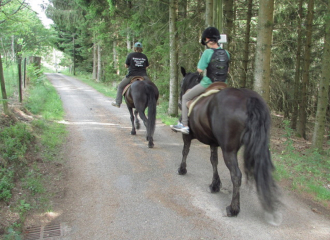 Randonnée équestre - Centre équestre les paddocks