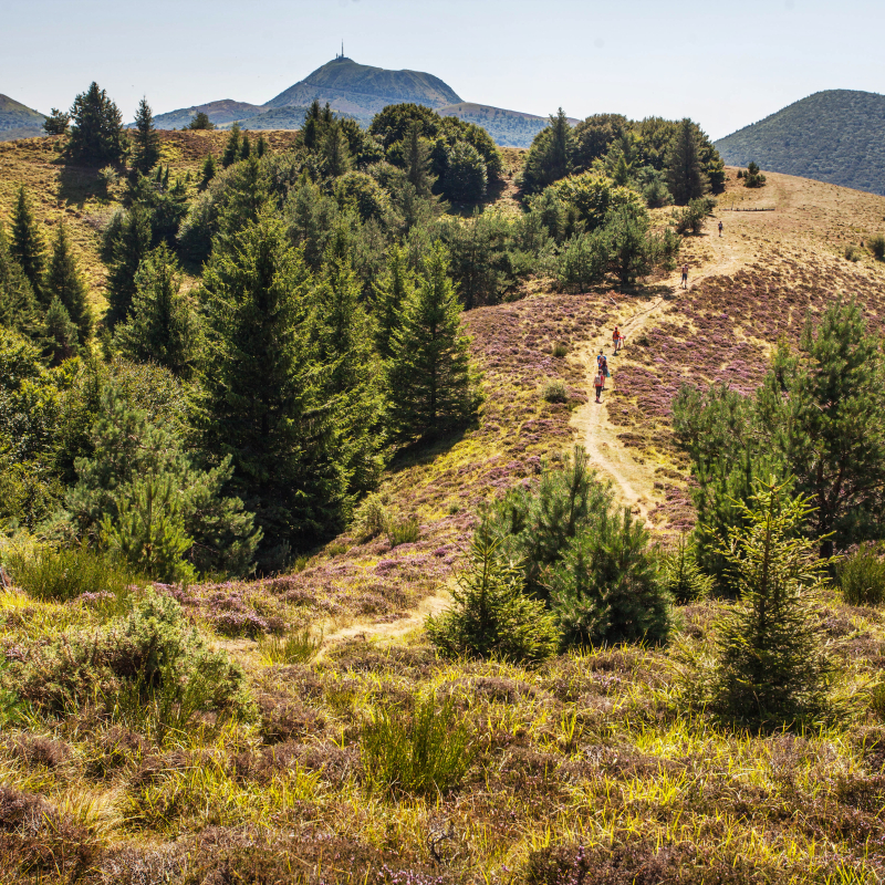 Puy des Gouttes