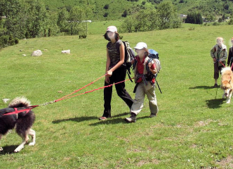 Rêve arctic - Musher -activités hors neige