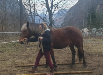 Ethological horseback riding