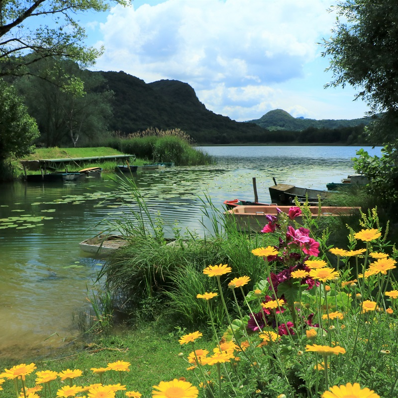 Lac de Barterand