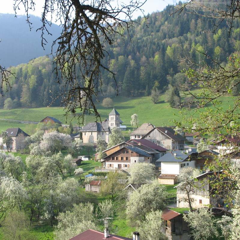Village and church