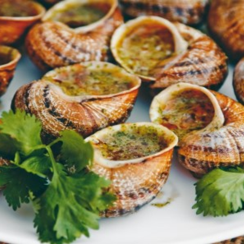 Visite gourmande de la ferme l'Escargot des Restanques