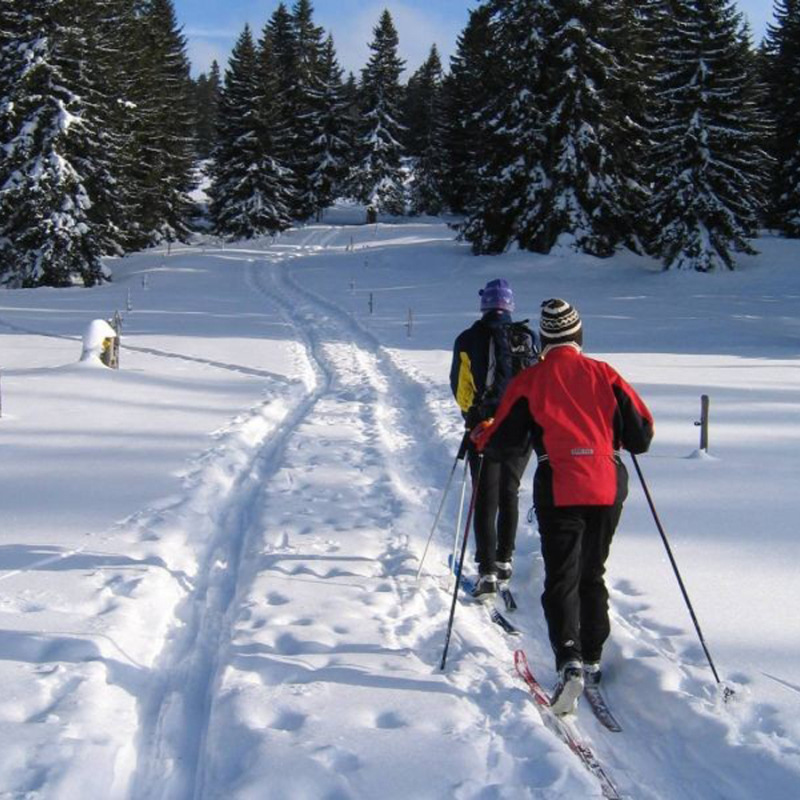 Col du feu col des moises