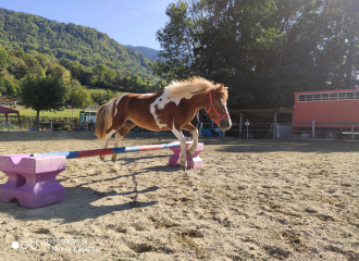 Cours d'équitation cheval et poney au Poney club le  Manège enchanté