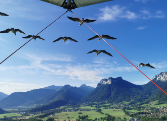 Microlight flight with migratory birds