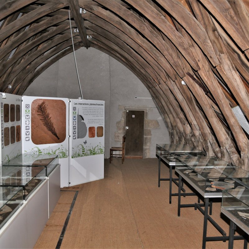 Musée de Paléontologie