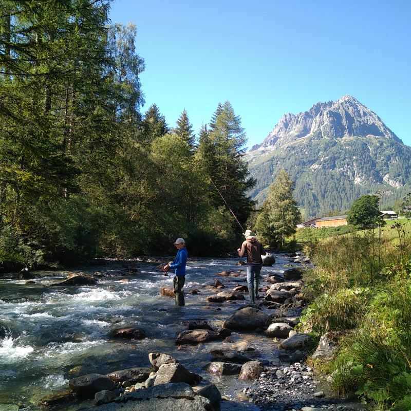 Appât naturel en rivière