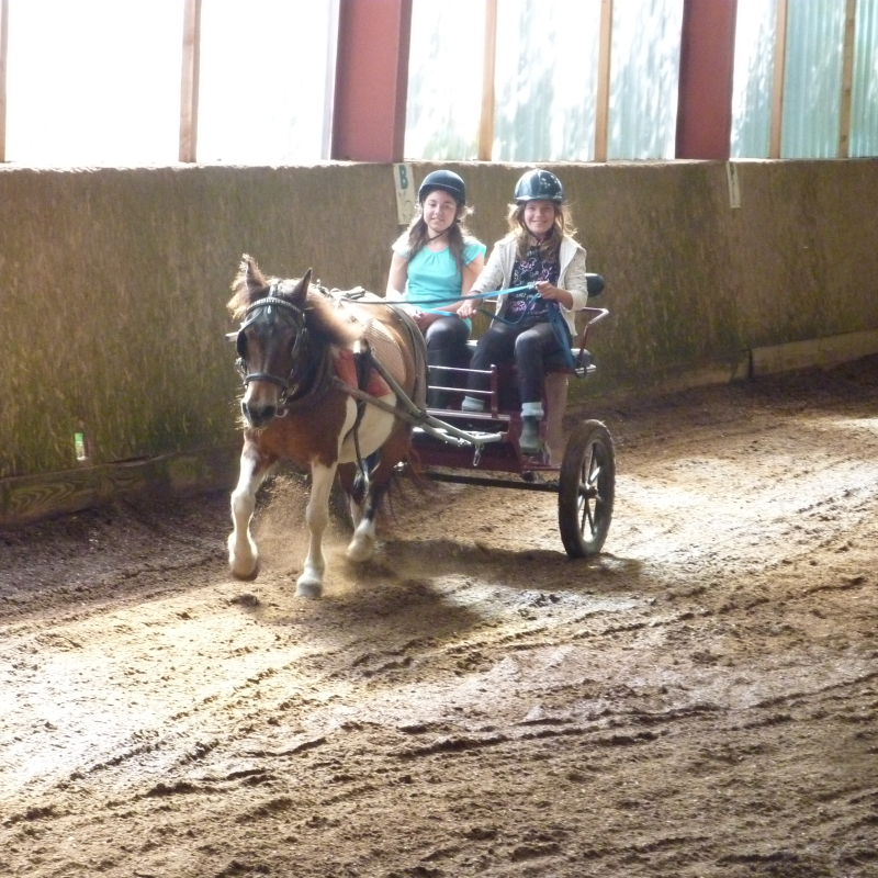 Poney Club de Cenves