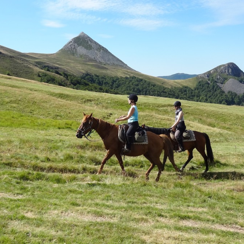 Ferme Equestre Cheval Découverte - Riding Centre