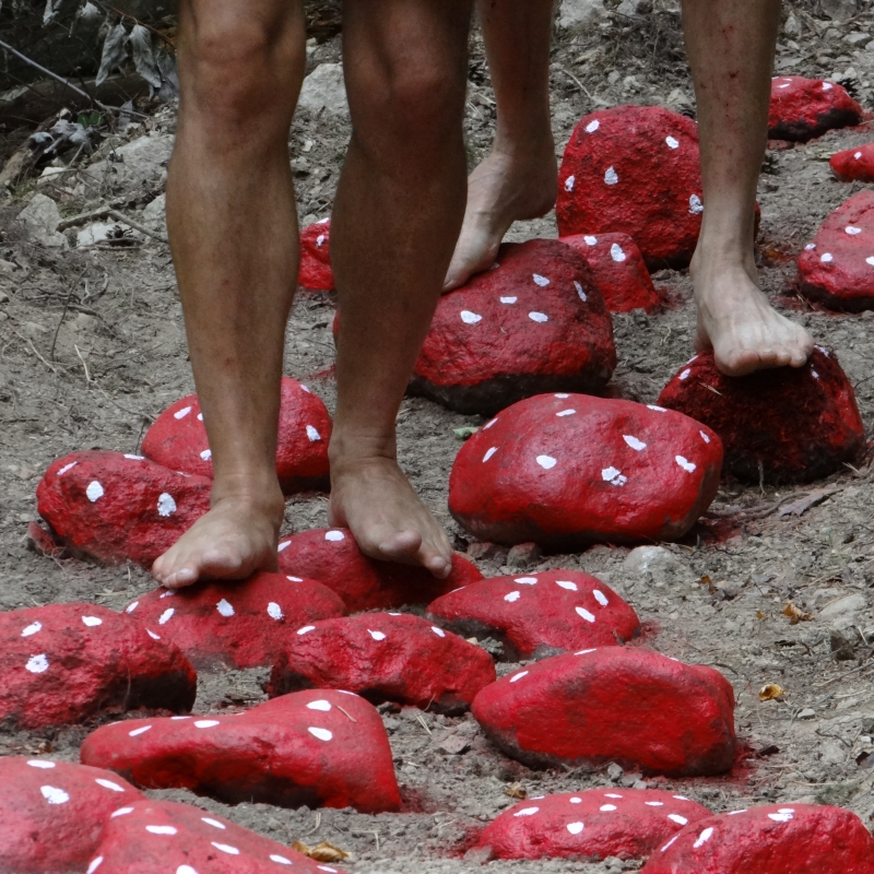 Barefoot walking path