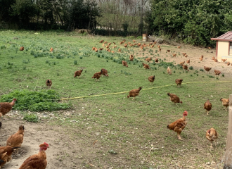 La Ferme du Cerf