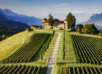 Vignoble et château chevalier Bayard