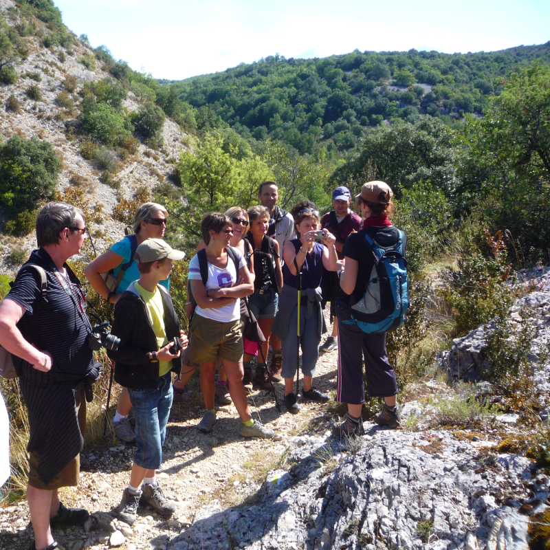 Terre et Ciel Randonnée : randonnées accompagnées et visites guidées de villages