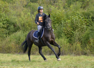 Balade à cheval à la Ferme équestre de Lavant