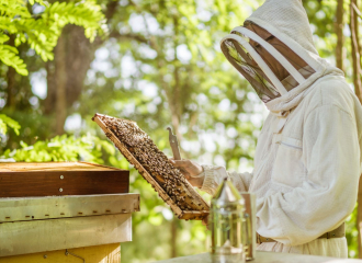 Apiculture - Les Ruchers du Moulin - Gérard et Rémy Delenne