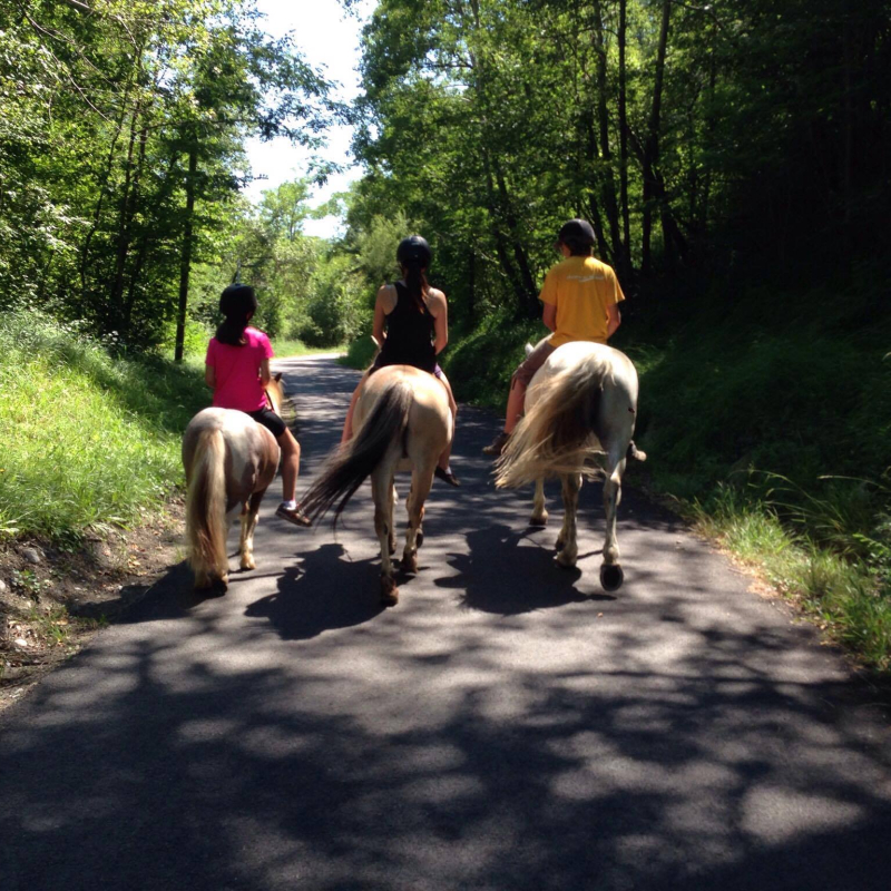 Balade en poney - Jumenterie de la Combelouve