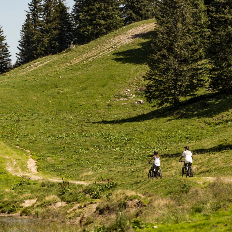 Sortie VTT ou e-bike en Valais